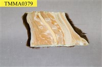 黑熊頸部藏品圖，第6張